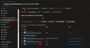 Authenticate Azure Function to Azure Storage Account using Managed ...
